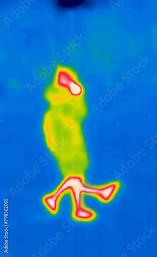 Impatient (one who is always in a hurry and do something on the go). A man with many legs. Buster. Thermal Impressionism photo