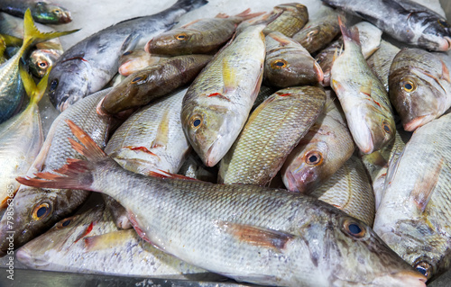 Bandar Abbas, Iran. Fish market. The fish of the Persian Gulf and the Arabian Sea are caught and sold