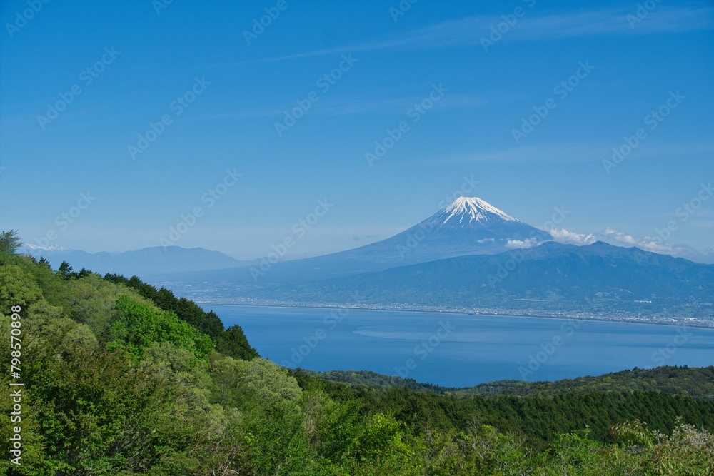 Fototapeta premium 伊豆山稜トレイルから見た富士山