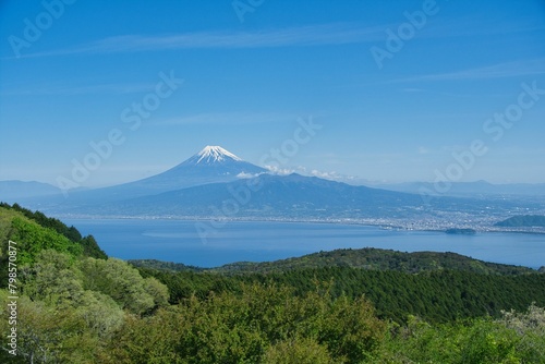 伊豆山稜トレイルから見た富士山 © Shunji Yoshimi