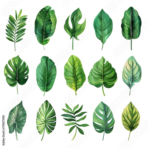 set of tropical leaves in watercolor style