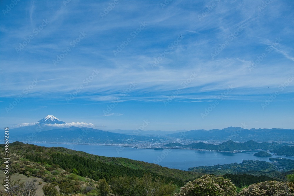 伊豆山稜トレイルから見た富士山