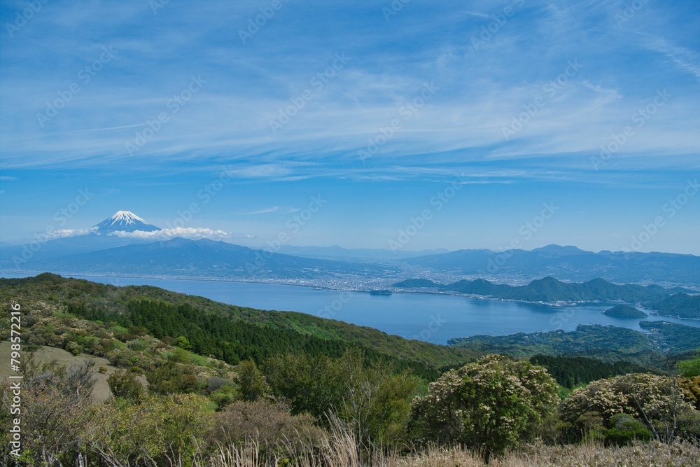 伊豆山稜トレイルから見た富士山