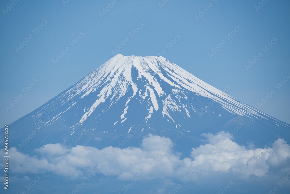 Obraz premium 西伊豆から見た富士山のアップ