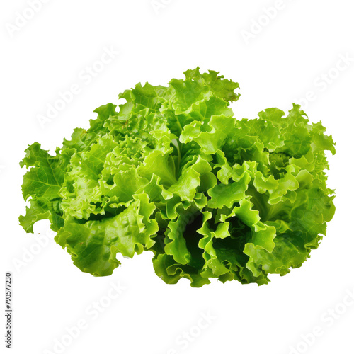 lettuce leaves isolated on transparent background.