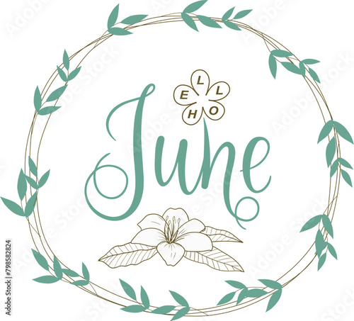 Handwritten, hello june, lettering message. June welcome quote with color leaves . Modern lettering. Hello June design for cards, banners, posters.