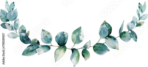 Watercolor eucalyptus leaves garland isolated on white background