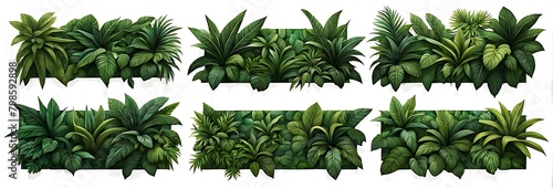  Set of green garden walls from tropical plants, isolated on white background, cut out 