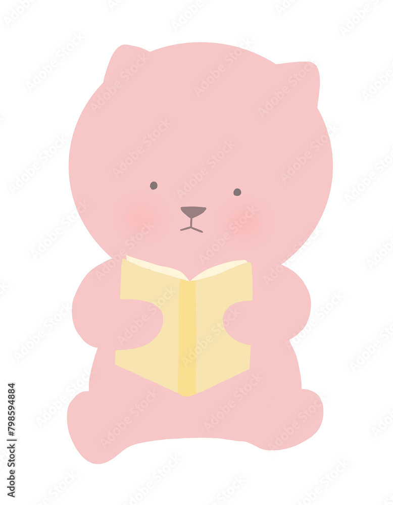 독서 고양이 독서 고양이