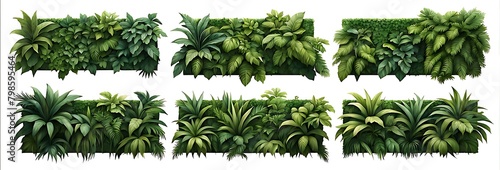  Set of green garden walls from tropical plants, isolated on white background, cut out 