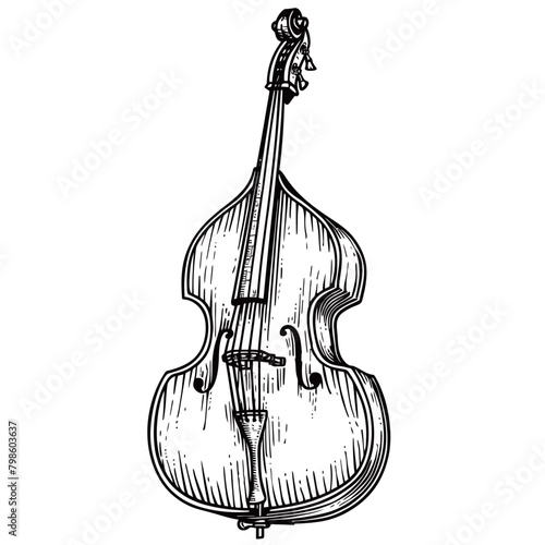 Hand drawn violin. Vector illustration. Isolated on white background.