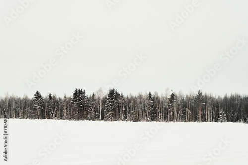 Morning by a field of rural Toten, Norway, in winter. photo