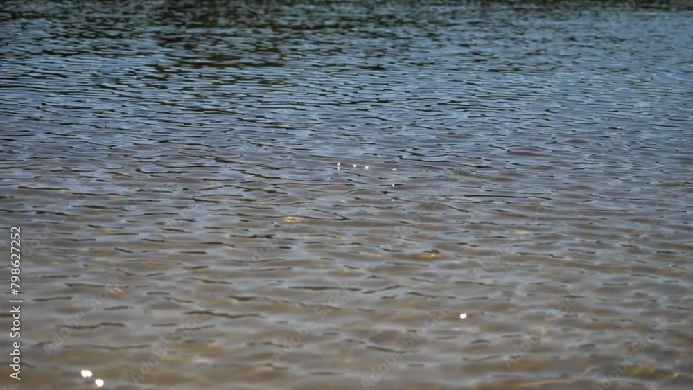Small waves on the surface of the water. shiny river surface, abstract background. Small waves on a lake, pond, sea or river. Small waves on the surface of the water. shiny river surface, abstract background. Small waves on a lake, pond, sea or river.