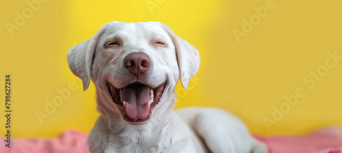 A white dog is laying comfortably on top of a soft pink blanket, its eyes closed in relaxation. The fluffy canines fur contrasts beautifully with the pastel-colored fabric underneath it. photo