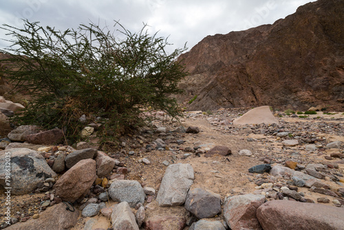 Wadi El Veshwash canyon in Sinai Peninsula