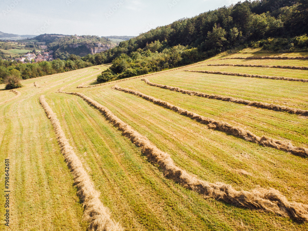 Paysage agricole avec des bottes de foin dans un pré. Bottes de paille dans la campagne française. Paysage campagne de Bourgogne. été en Bourgogne. Des prés verts en été. Agriculture en France Paysage agricole avec des bottes de foin dans un pré. Bottes de paille dans la campagne française. Paysage campagne de Bourgogne. été en Bourgogne. Des prés verts en été. Agriculture en France