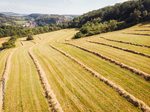 Vue aérienne d'andains. Andainage dans les prés. rangées de fourrage séchant dans un pré. Agriculture en Bourgogne. Séchage d'herbes fauchées. Fauchage