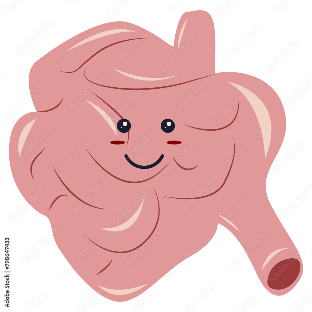 Cute Human Body Internal Organs Anatomy Character. Isolated on White Background. Minimalist Cartoon Illustration
