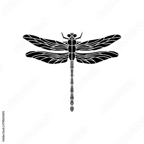 dragonfly black and white vector illustration isolated on white background. black and white Realistic hand drawing of dragonfly insect on white background