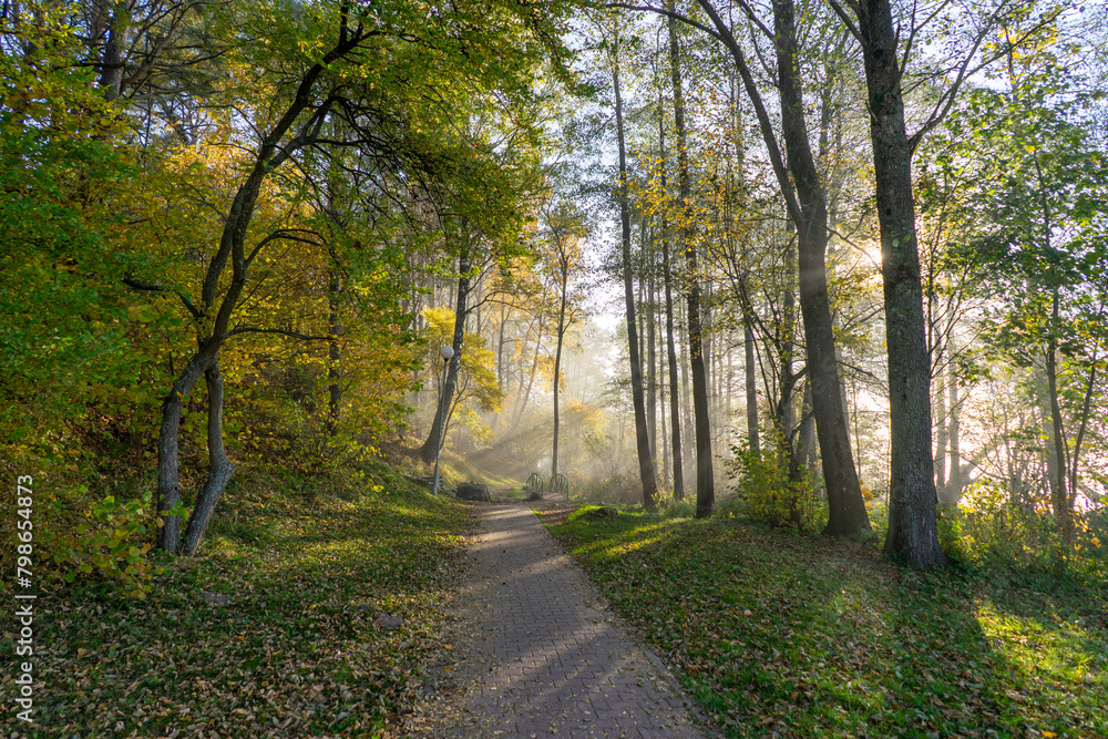 Naklejka premium Autumn foggy landscape: a small square near Lake Naroch, Belarus