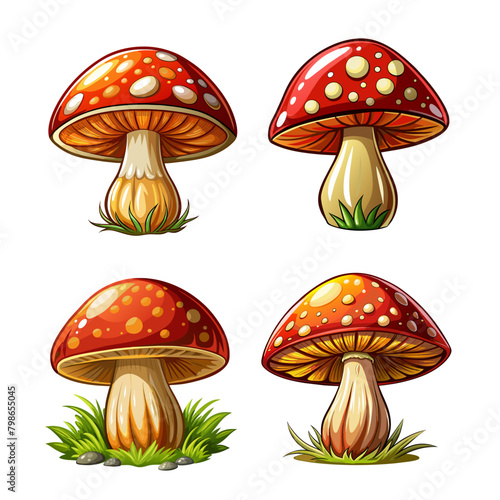 mushroom art drawn for decor on white background