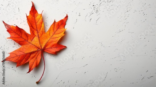   An orange maple leaf lies on a white surface  dotted with water drops both on its surface and atop