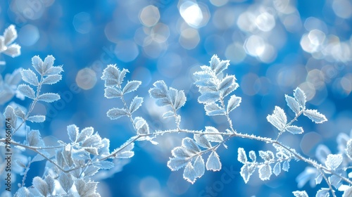  A tight shot of a frost-covered plant with blurred background foliage