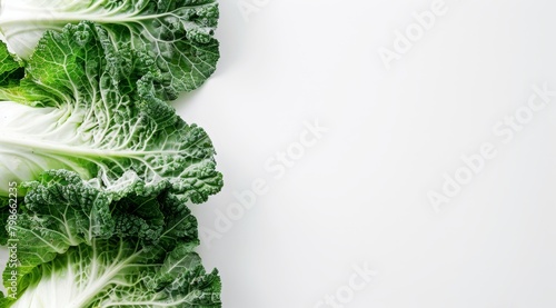  Close-up of fresh lettuce on white background Text space on left side