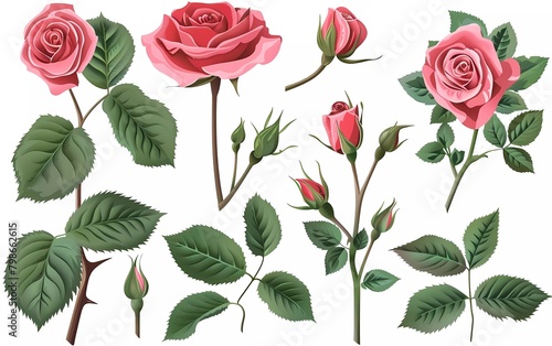 Spring rose bouquet. Isolated realistic petals, flowers, branches, leaves vector set.