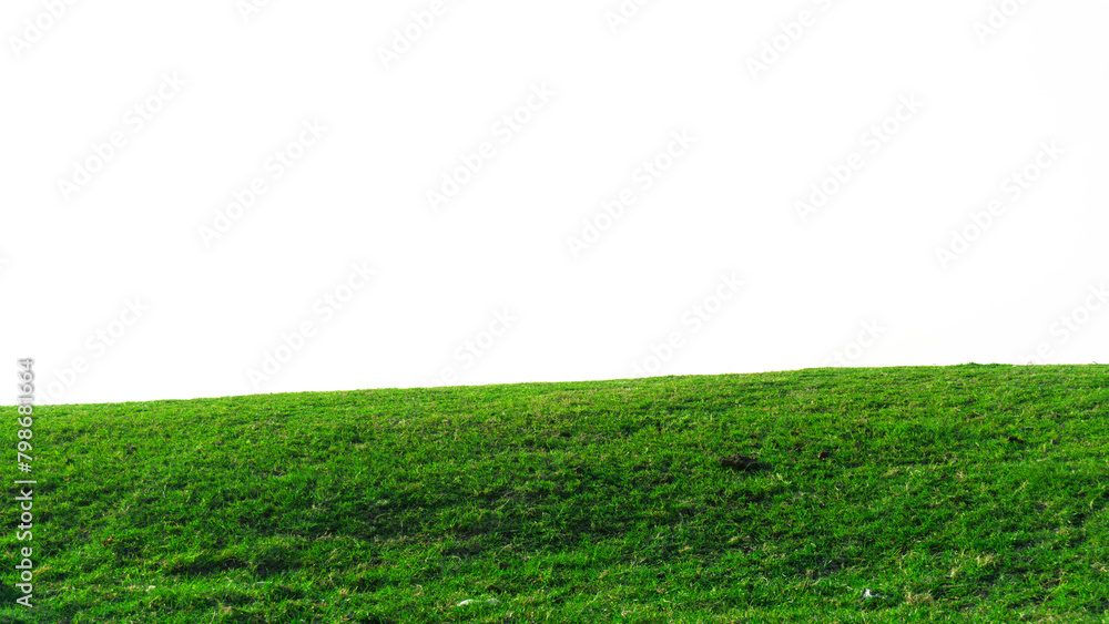 green grass field isolated on white background ,fresh green grass lawn isolated on white background