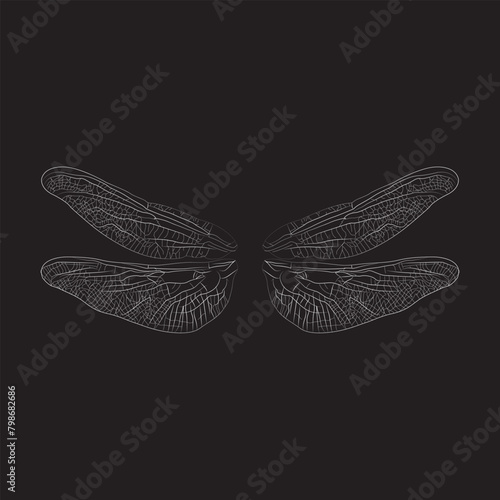 dragonfly wings lineart isolated on black background vector illustration  © Sunbal