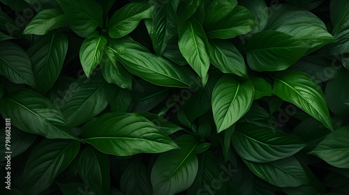 Green foliage texture