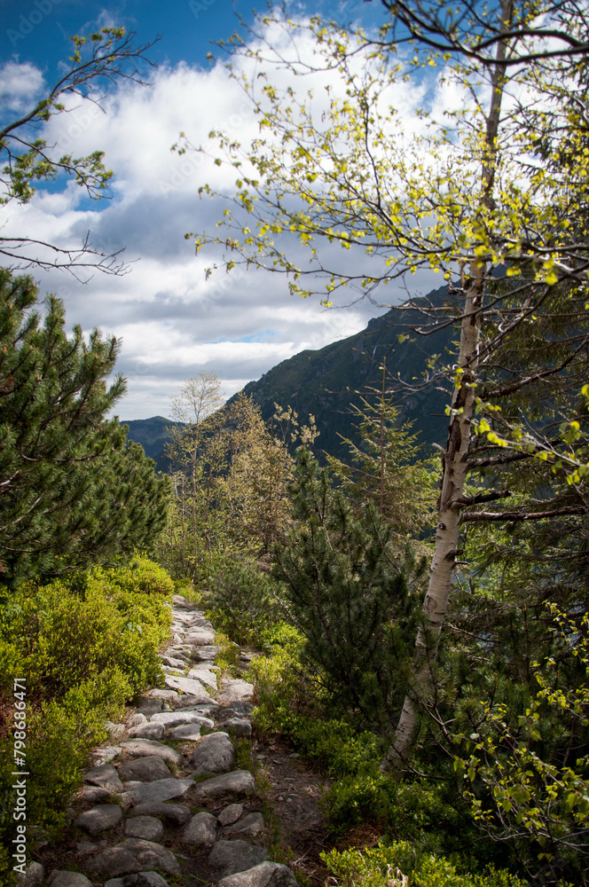 Droga trekkingowa w górach, park krajobrazowy.