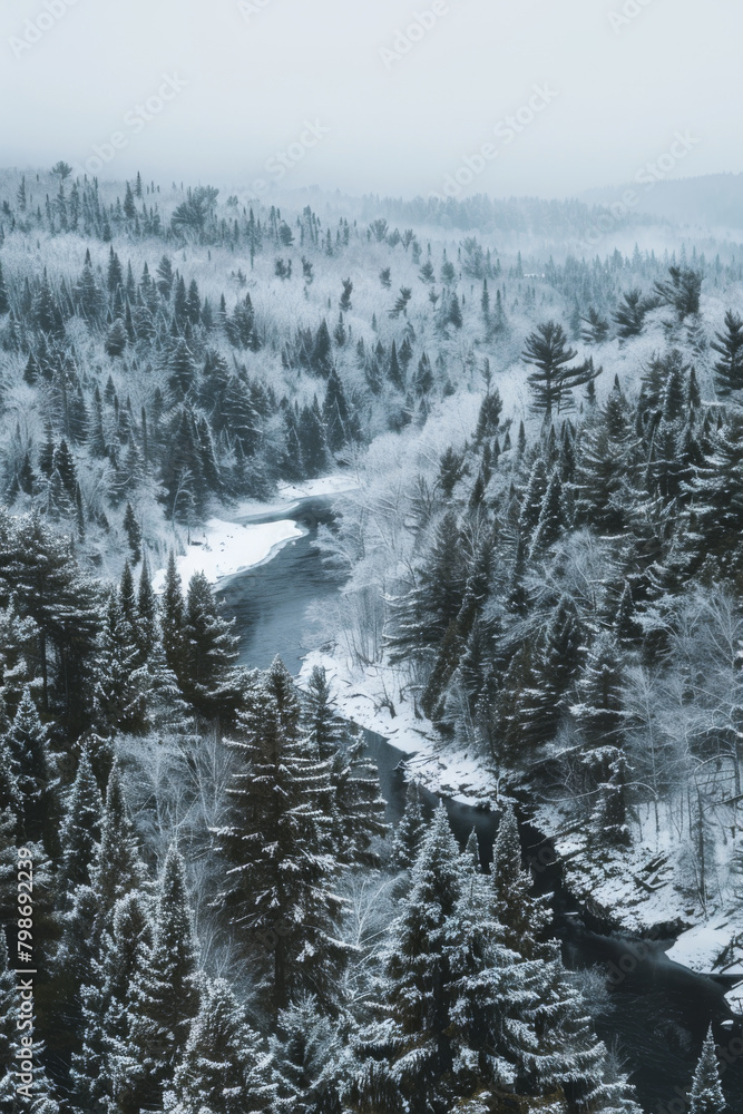 Winter Wonderland Aerial View - curvy river in the woods