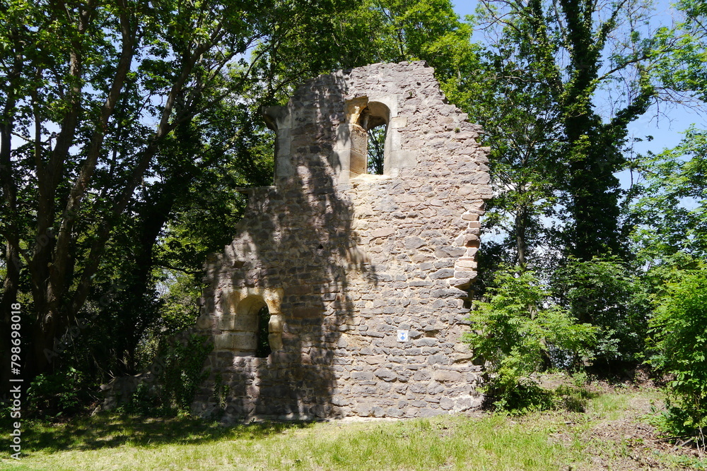 Ruine des romanischen Klosters auf dem Petersberg bei Halle Ruine des romanischen Klosters auf dem Petersberg bei Halle