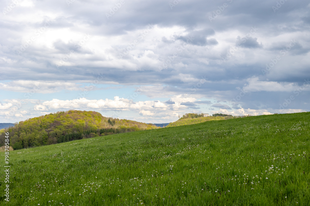 A field of grass with a cloudy sky in the background