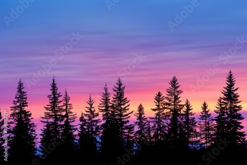 Twilight scene with silhouettes of fir trees against a colorful sky