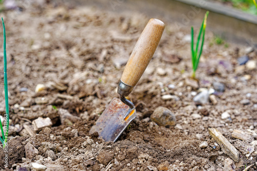 Wallpaper Mural High angle view of small shovel gardening tool at vegetable bed of home garden at Swiss City of Zürich on a cloudy spring morning. Photo taken April 28th, 2024, Zurich, Switzerland. Torontodigital.ca