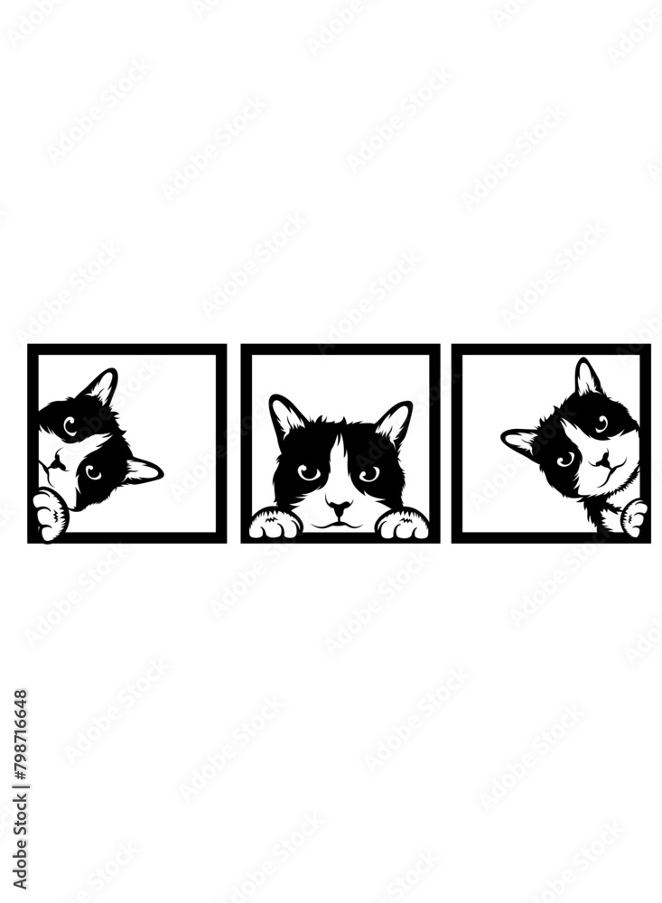 Obraz premium 3 Peeking Kittens | Peeking Animal | Cute Cats | Domestic Animal | House Pet | Cat Lover | Pet Shop | Baby Kittens | Original Illustration | Vector and Clipart | Cutfile and Stencil
