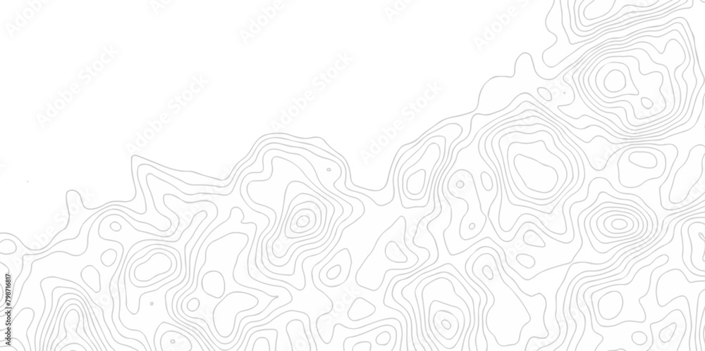 White wave paper curved reliefs abstract background. The topographic map contour in lines isolated. Abstract white topographic map background with lines. Background of the topography map. White wave paper curved reliefs abstract background. The topographic map contour in lines isolated. Abstract white topographic map background with lines. Background of the topography map.