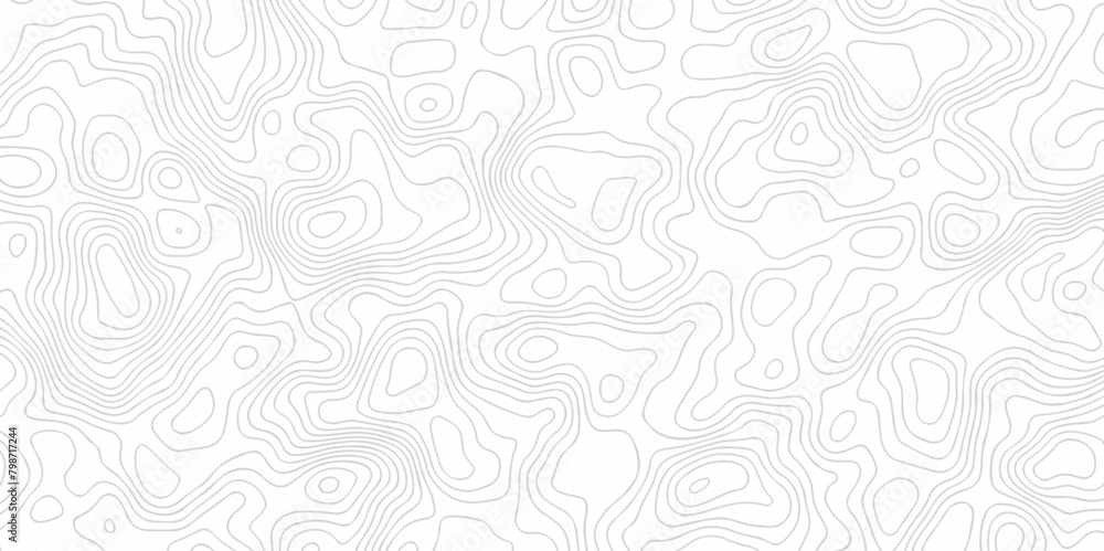 Obraz premium White wave paper curved reliefs abstract background. The topographic map contour in lines isolated. Abstract white topographic map background with lines. Background of the topography map.