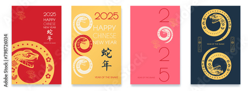 Happy Chinese New Year 2025 with Snake zodiac card template. Lunar new year sign. Paper cut style on white background. Chinese text means "Year of the Snake".