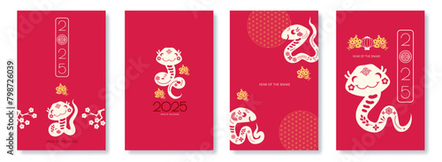 Happy Chinese New Year 2025 with Snake zodiac card template. Lunar new year sign. Paper cut style on white background. Chinese text means "Year of the Snake".