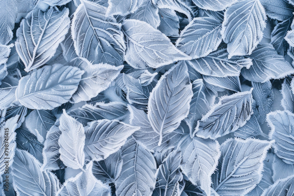 Textured surface of leaves covered in frost, showcasing intricate ice crystals and frost patterns. Frosty leaf textures offer a wintry and natural backdrop