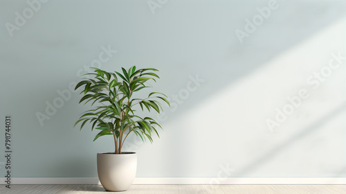 Large green plant in white pot on ledge photo