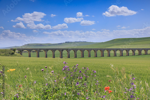 Springtime: hilly landscape with green wheat fields in Apulia, Italy. View of the 21 Arch Bridge, the ghost viaduct of Spinazzola. 