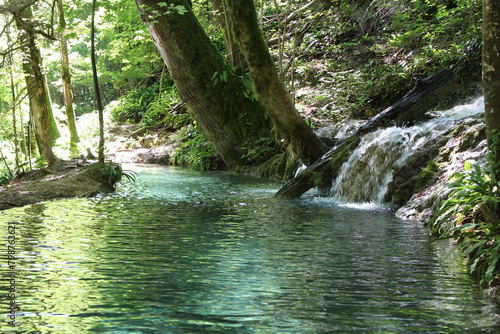 eaux limpides  turquoise  paradis  piscine naturelle  transparence  sauvage  eau  chute d eau  paysage  cascade  vert  nature  for  t  arbre