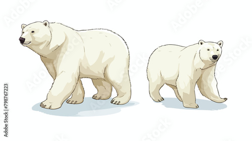 Adorable pair of polar bears hand drawn with contou
