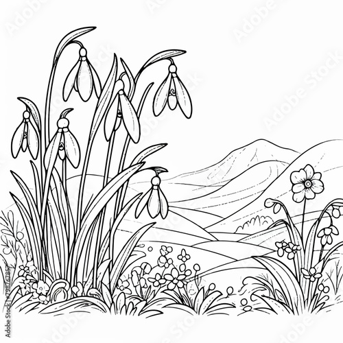 snowdrops children's coloring page spring illustration