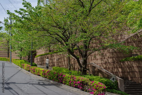 東京港区赤坂4丁目の鮮やかな緑